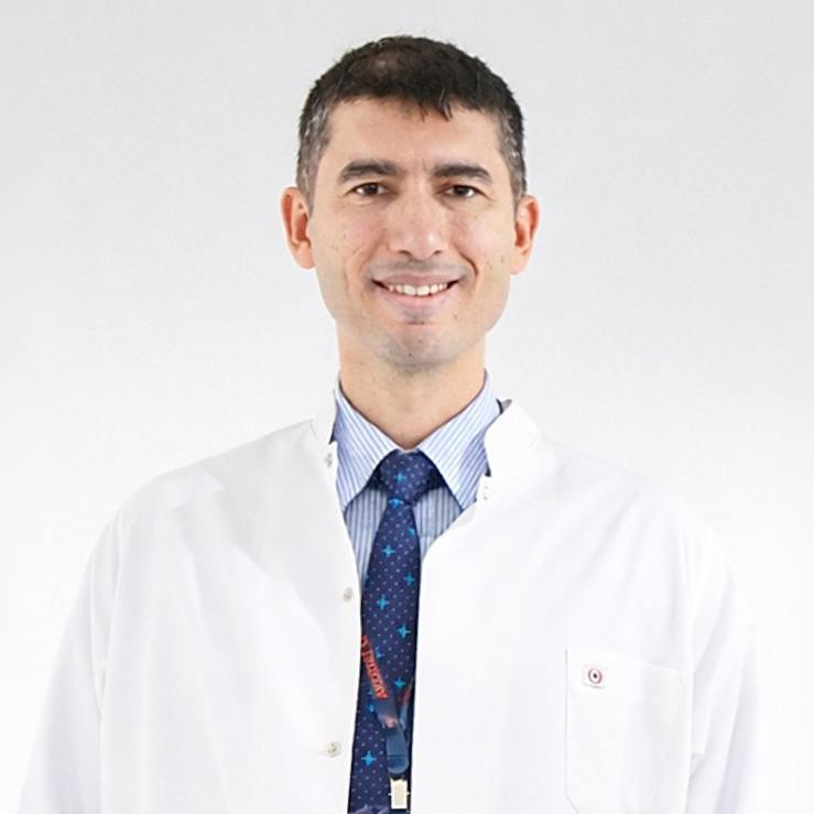 VOLKAN DOĞRU